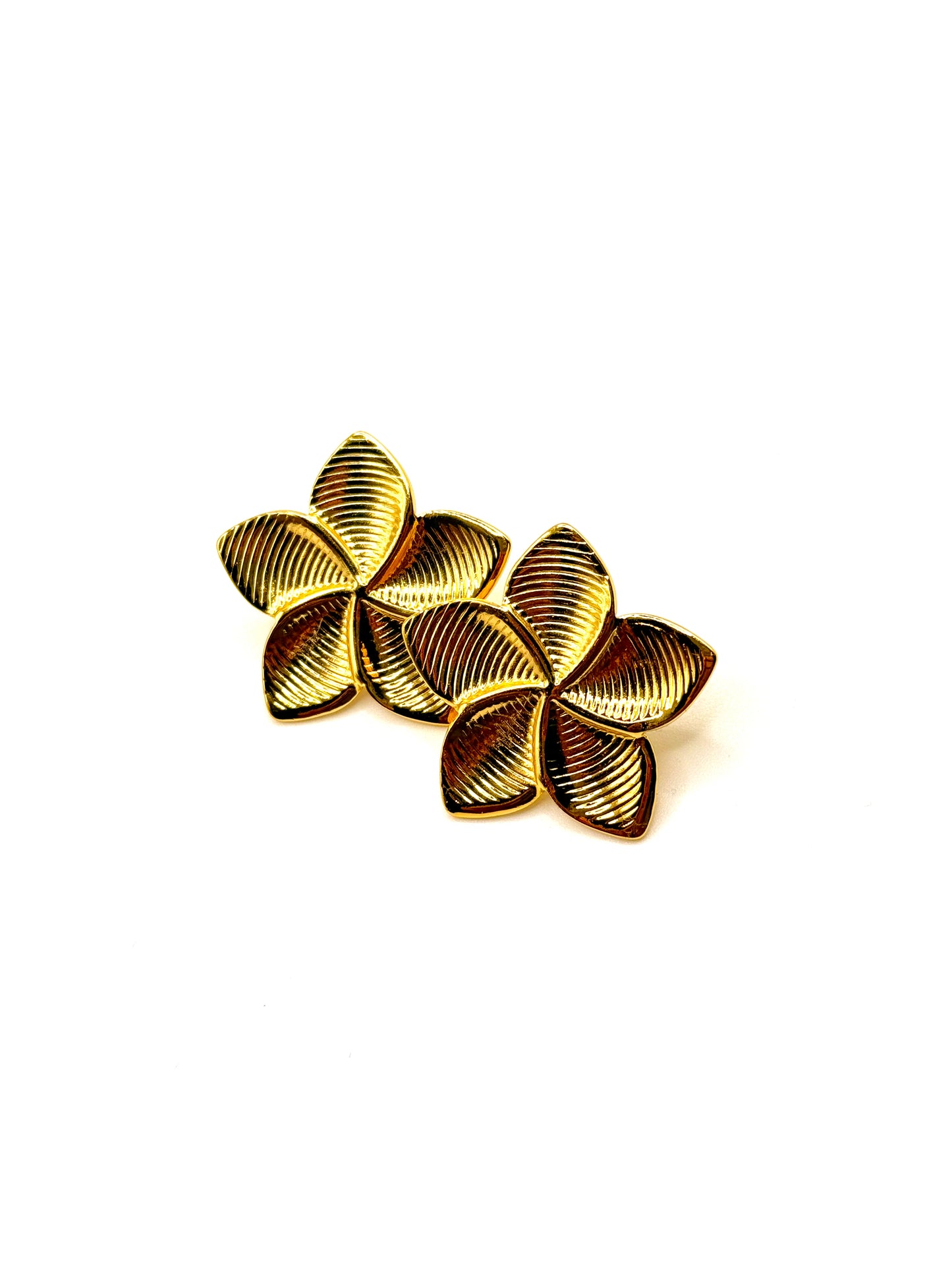 Ensemble Fleur à 5 pétales avec Cercles