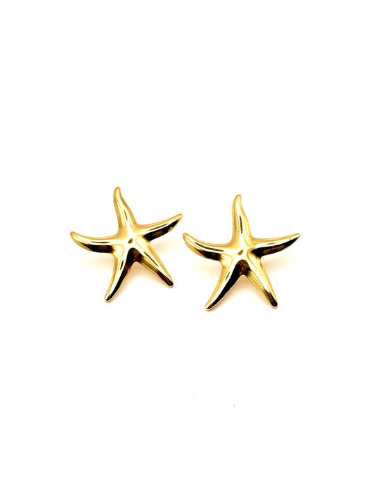 Boucles d'oreilles Starfish 1