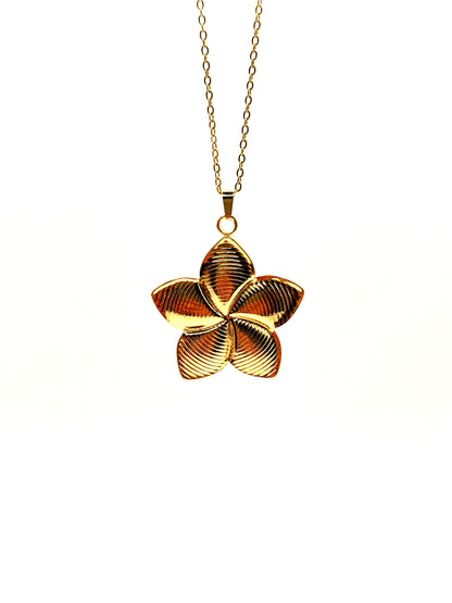 Ensemble Fleur à 5 pétales avec Cercles