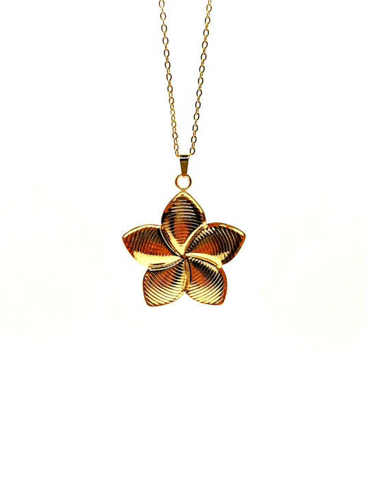Ensemble Fleur à 5 pétales avec Cercles