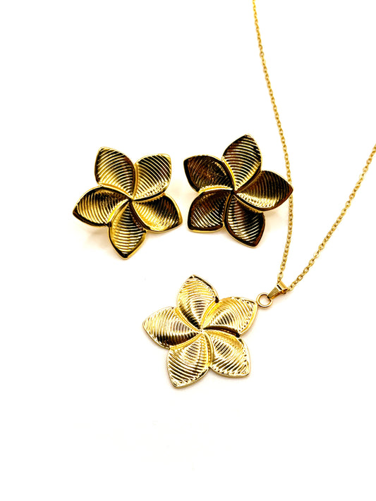 Ensemble Fleur à 5 pétales avec Cercles